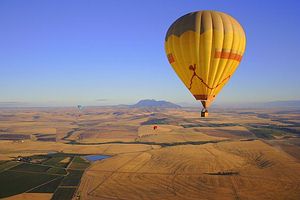 Balloon over the Winelands of the Cape